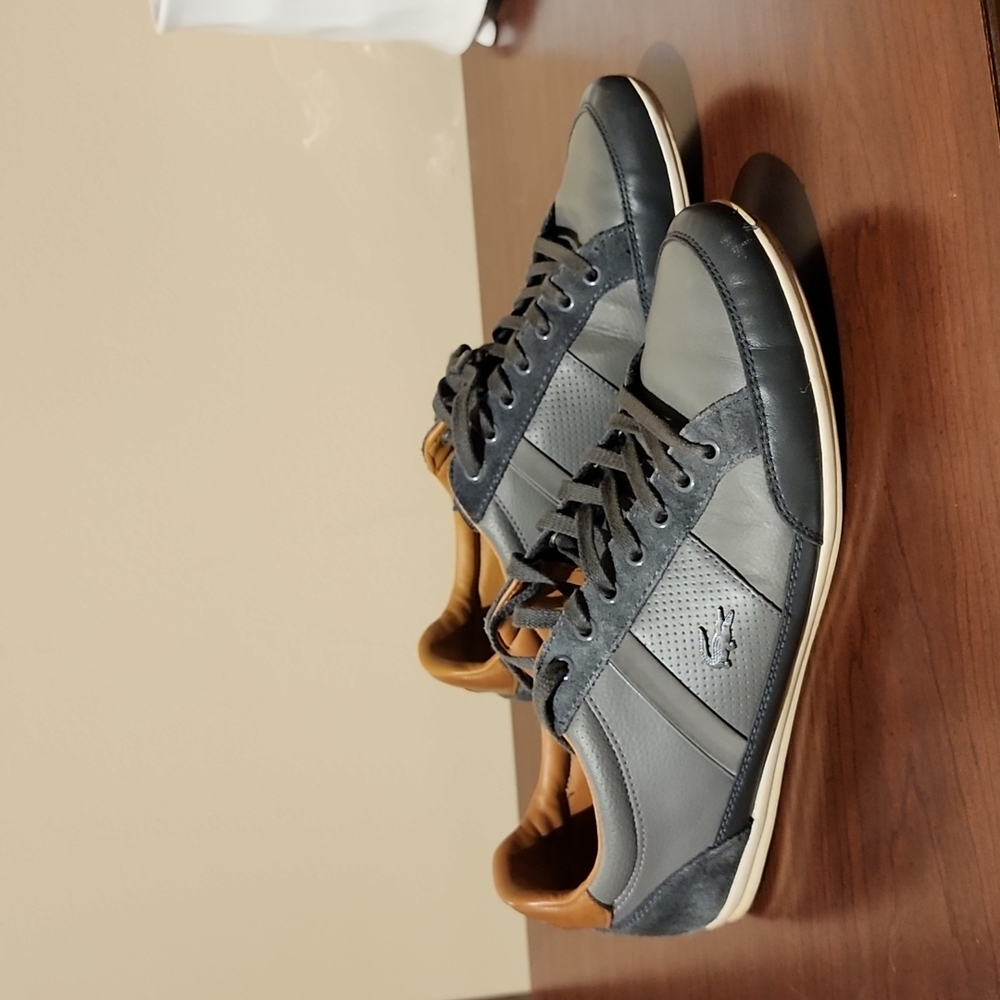 Mens lacoste shoes